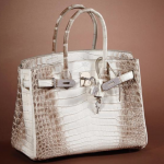The most expensive bag in the world